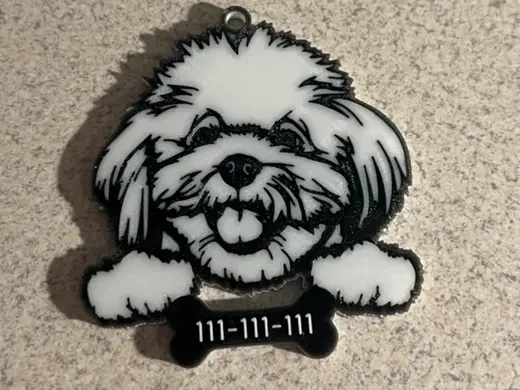 Personalized keychain/for a dog Bichon