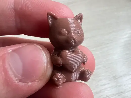 Adorable Valentine’s Pocket Cat with Heart