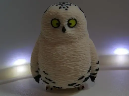 PartyAnimals-style owl
