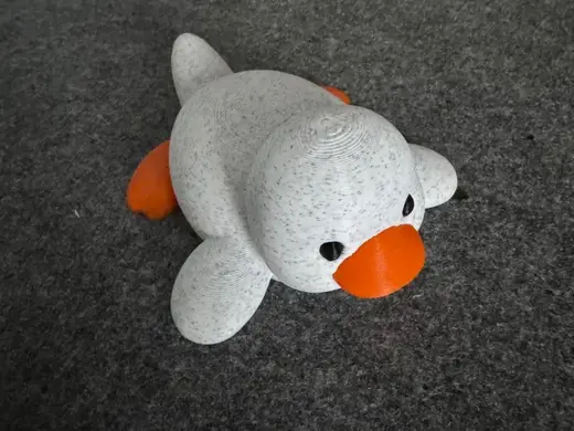 Cute pet goose, laying on its belly