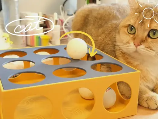 Cat Boredom Relief Toy