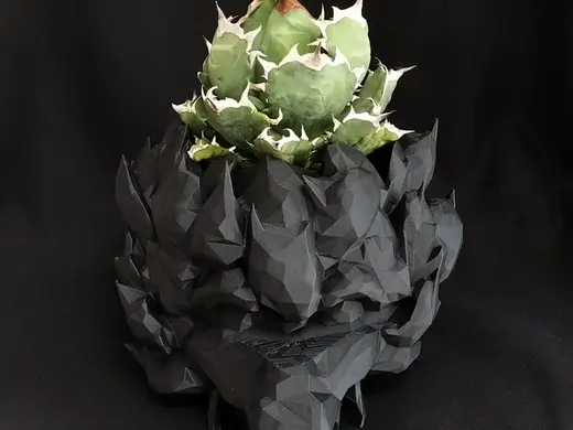 Agave Plant Pot / z014-kiwami Dragon pot 龍鉢99
