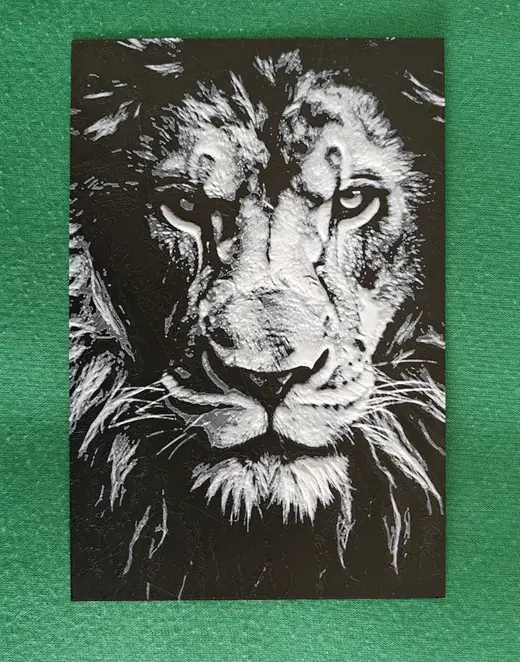 Hueforge - Lion - 2 colors