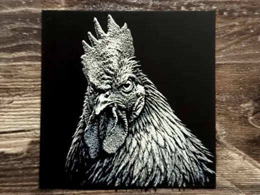 Rooster Wildlife Series