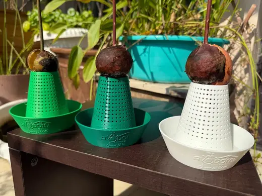 Avodome
