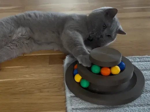 Interaktive Kugelbahn für Katzen