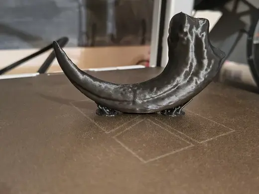 Velociraptor claw