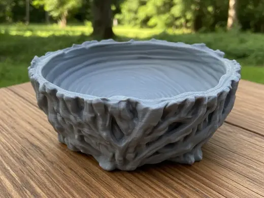 Tree Trunk Bowl