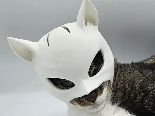 StealthCat Hero Mask for Cats