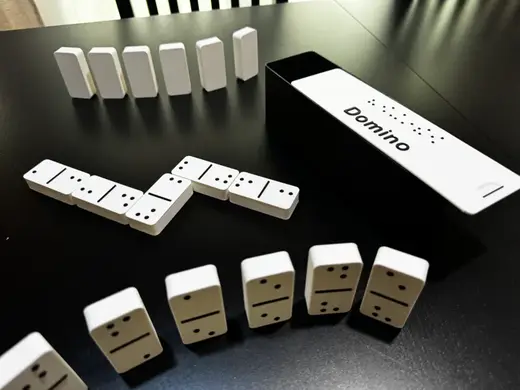 Braille Domino Game