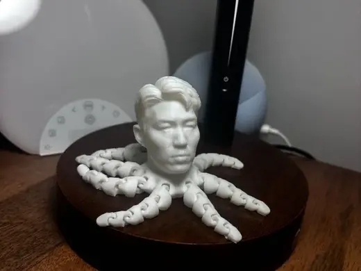 Son Heung-min Octopus (Sonopus)