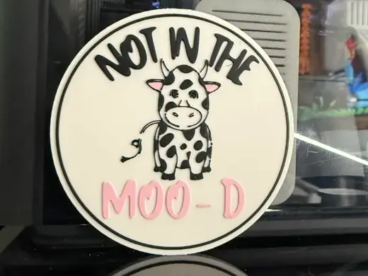 NOT IN THE MOO-D COASTER