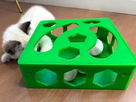猫玩具,追逐,猫咪自嗨,有响声吸引小猫