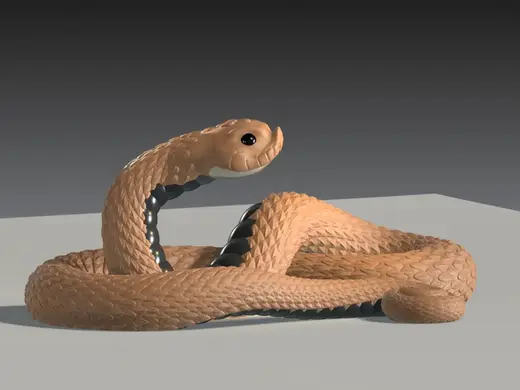 Western Hognose Snake