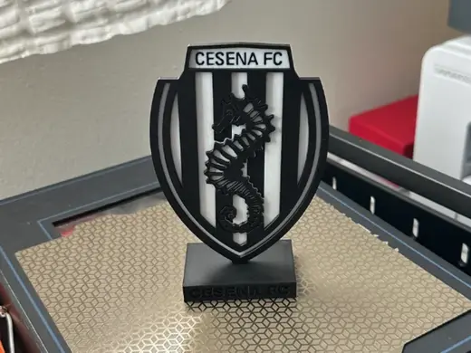Stand Scudetto Cesena Calcio FC