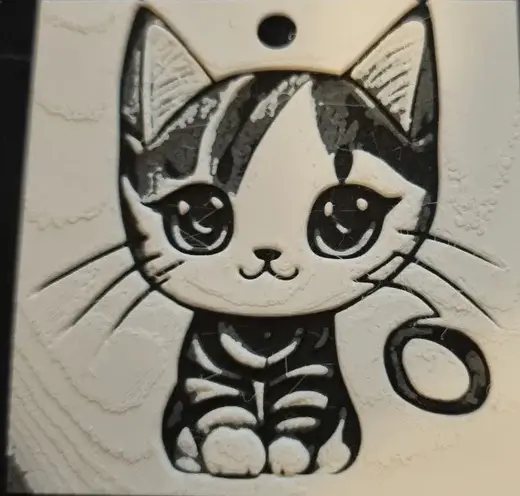 Black and White Cute Cat (quick print.. less than 1 hour)