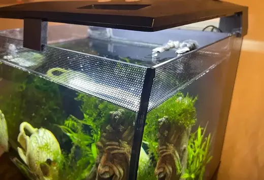 Fluval Flex 57l Lid Props