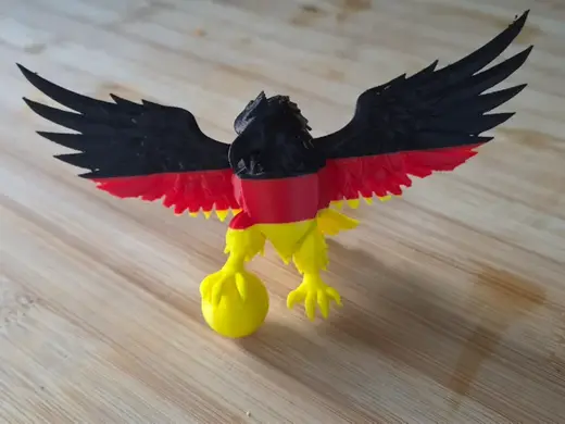 German footbal eagle world championship
