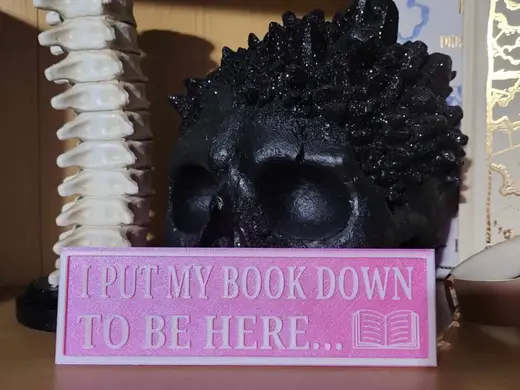 Bookshelf Sign - I put my book down