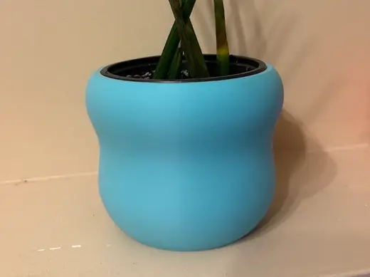 Bubble Plant Pot