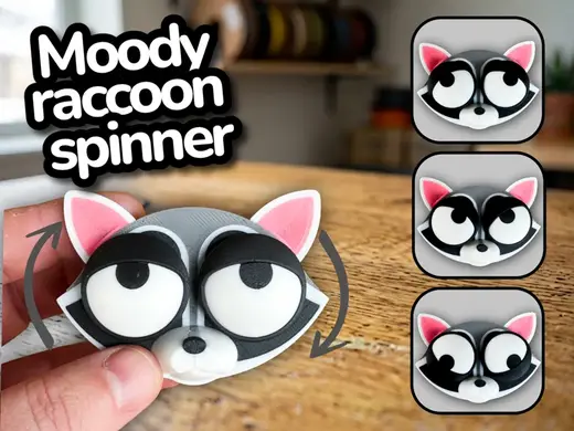 Mood Raccoon - Cute Rotating Fidget Toy