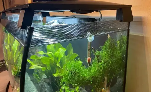 Fluval Flex 123l Lid Props