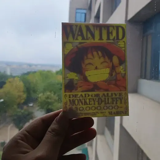 Luffy's bounty 航海王路飞悬赏令彩色浮雕照片