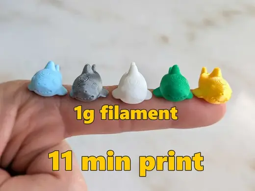 Small Tiny Mini Micro Shark
