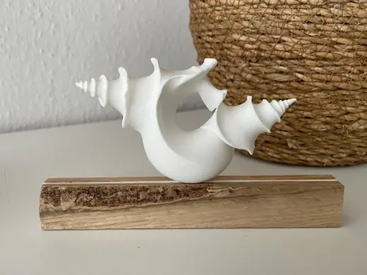 maritimes Inlay für Holzklötzchen Muschel