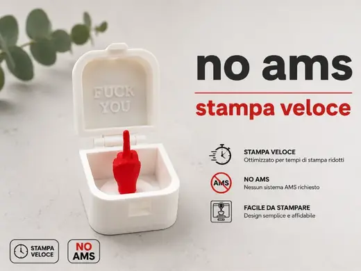 Scatola sorpresa dito medio - fuck you