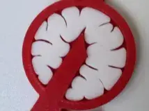 脑叶公司