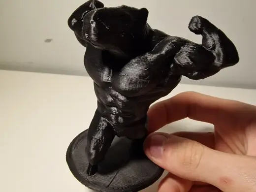 Muscular Capibara