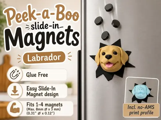 Labrador Peek-a-Boo Slide-In Magnet
