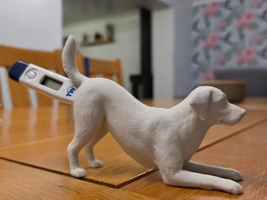 funny dog thermometer holder