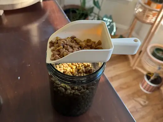 Small scoop