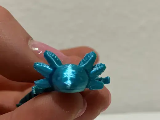 World's tiniest axolotl
