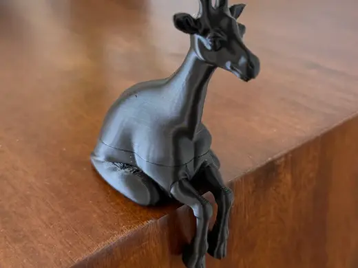 Sitting Giraffe