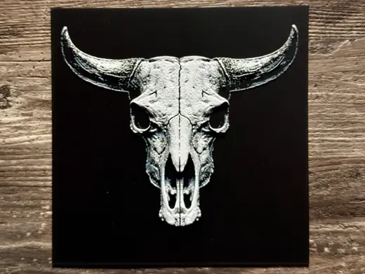 Highland Cow Skull Series