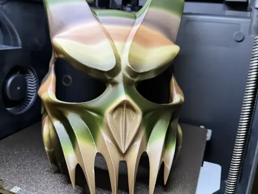 Alex to Prevail Mask