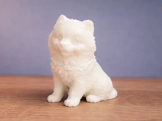 Pomeranian Puppy - Animal - Dog - Cute