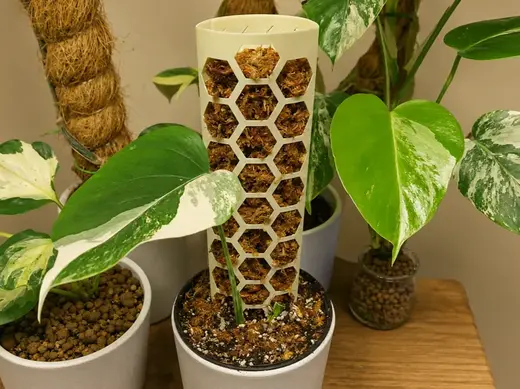 Foldable Lightweight Plant Moss Pole
