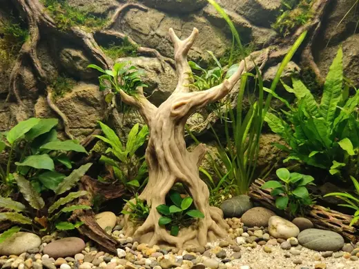 Old Dead Tree With Cave - Aquarium Terrarium Decor