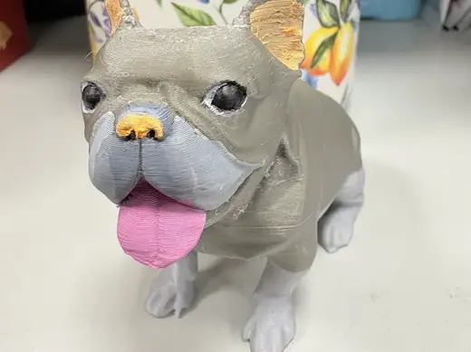 可愛法鬥French Bulldog