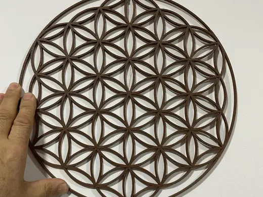 flor de la vida