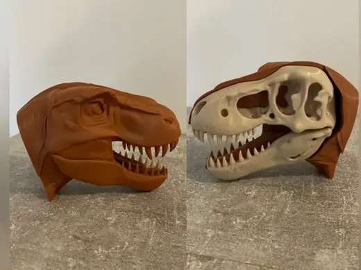 T-Rex Skull & Head – 2 Part Dino Fun!