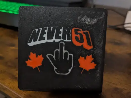Hitch Plug ( Never 51 )