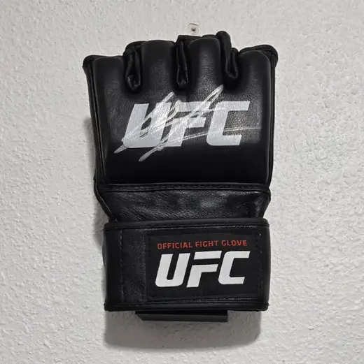 MMA Glove wall mount