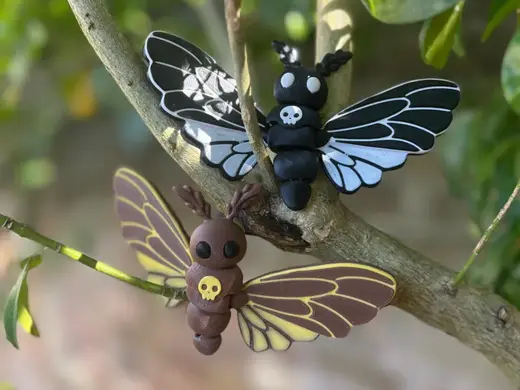 Articulated Death's Head Hawk Moth Fidget