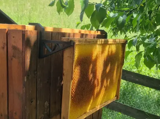 Bee Frame Holder for Extended Hive (B10)