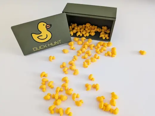 Hide and seek duck box - Duck Hunt